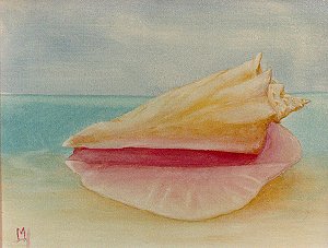 Conch Shell