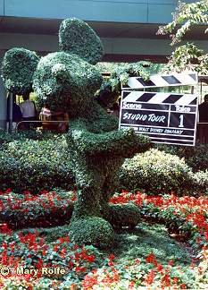 Mickey Mouse Topiary